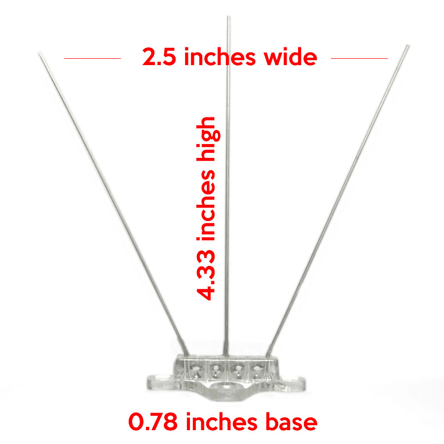 Bird Spikes: image 2