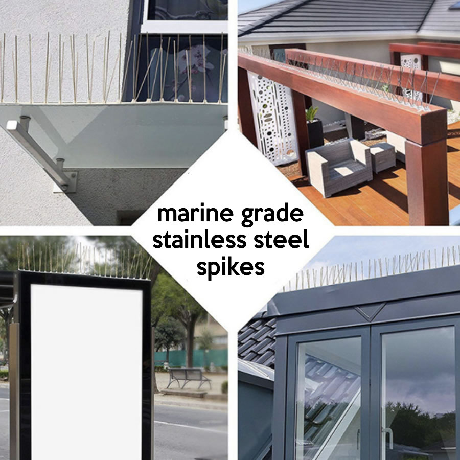 Bird Spikes: image 3