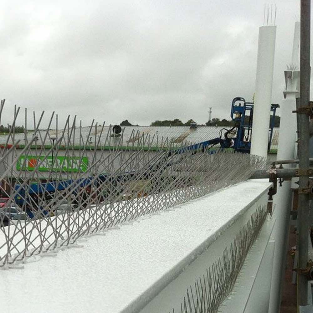 Bird Spikes: image 6