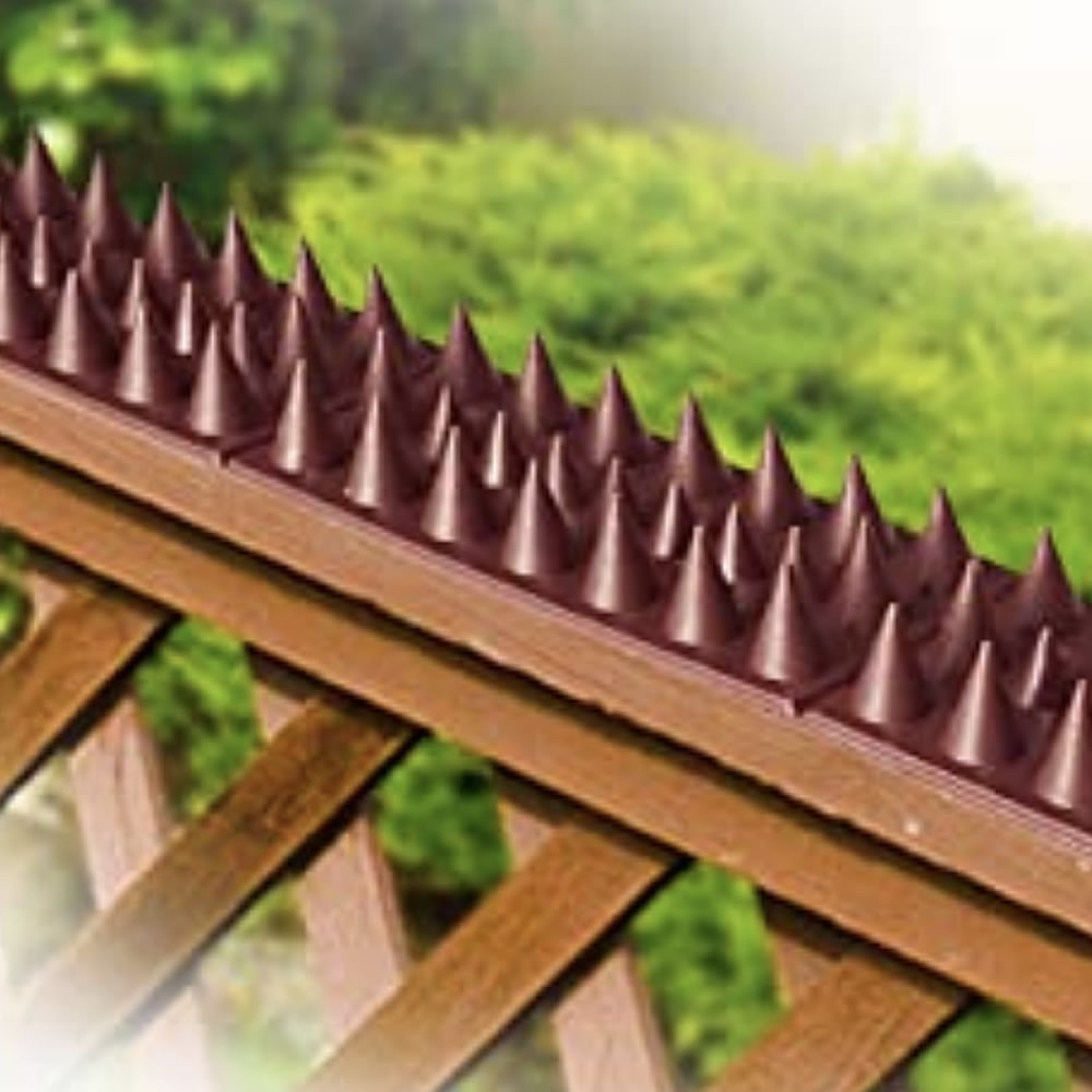 Bird Spikes For Fence: image 5