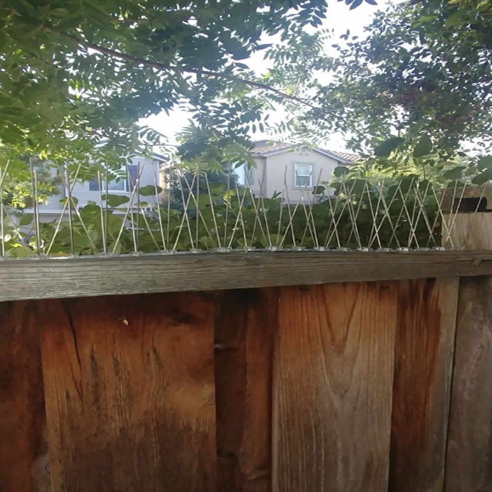 Fence Spikes: image 3