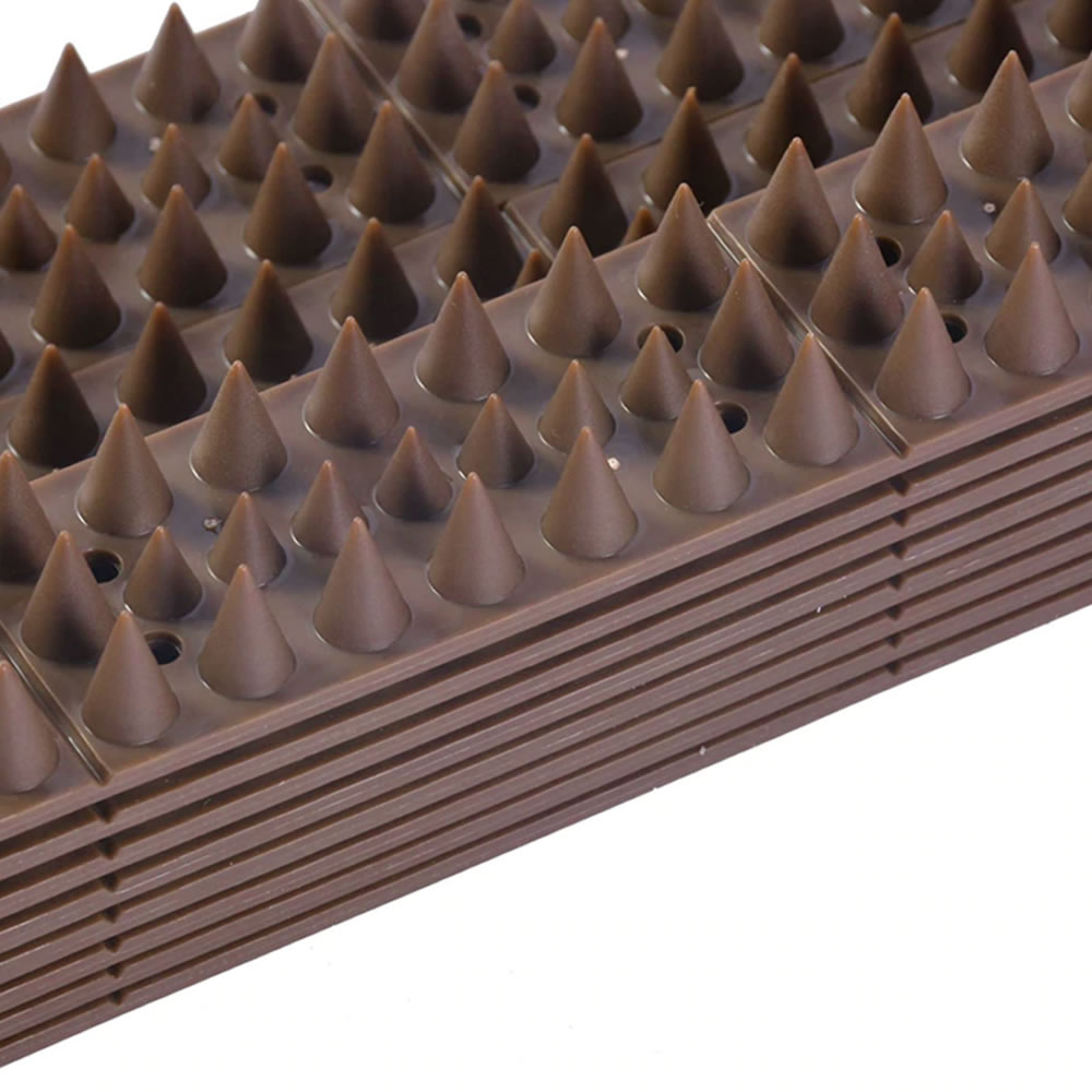 Raccoon Spikes: image 7