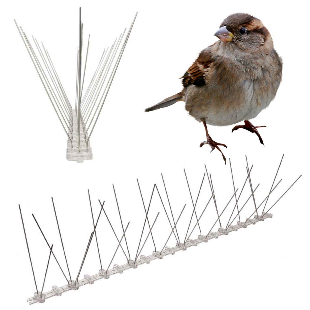 Sparrow Spikes