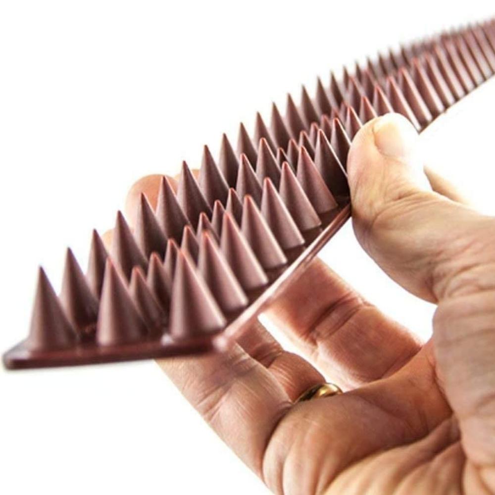 Cat Spikes: image 4