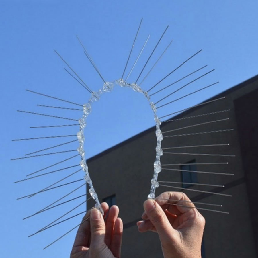 Pigeon Spikes: image 6