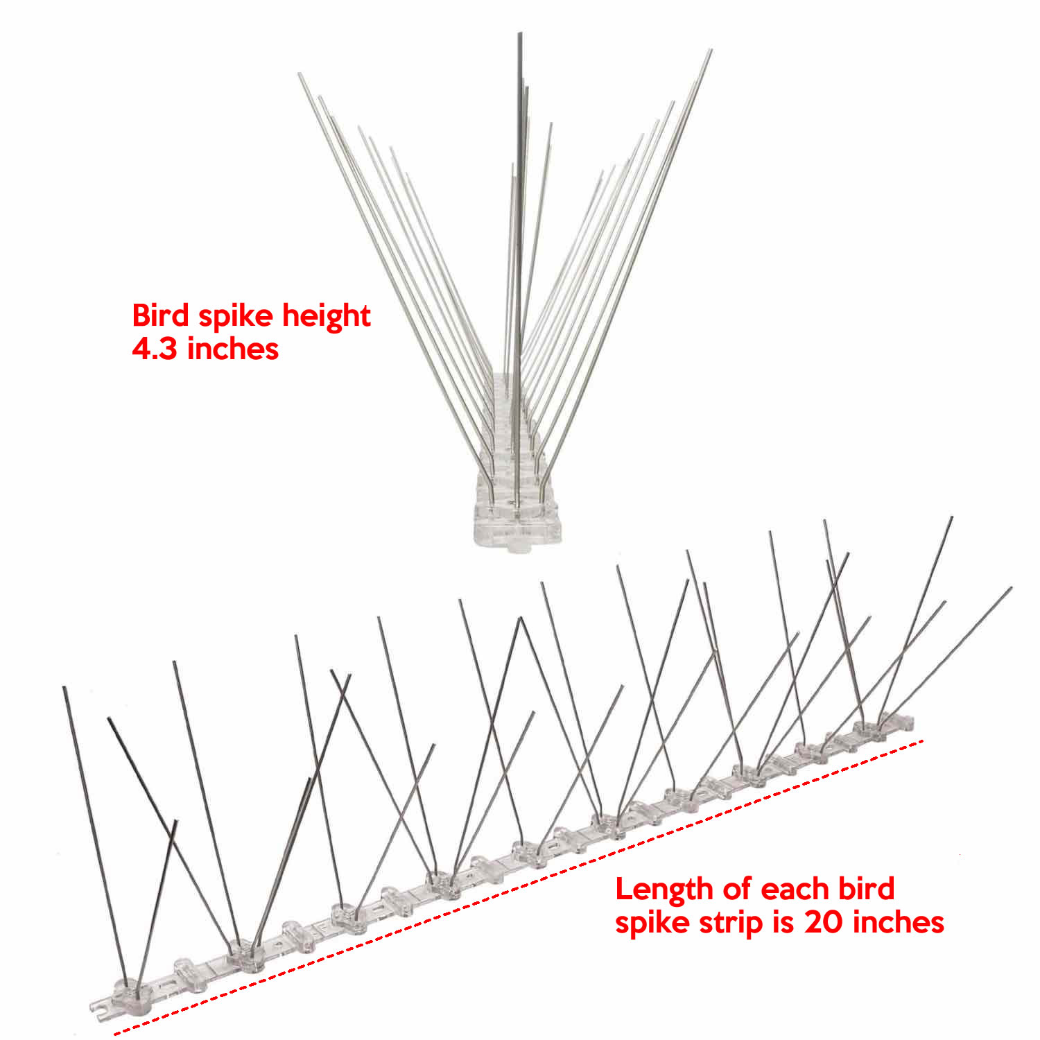 Woodpecker Spikes: image 2