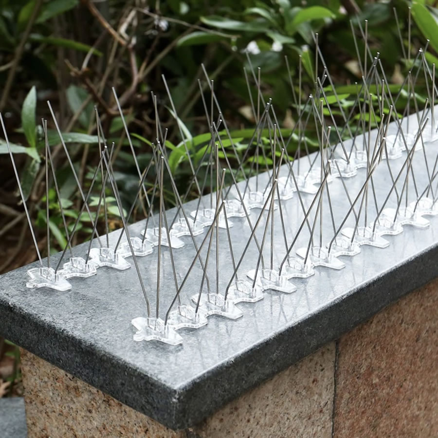 Wren Spikes: image 3