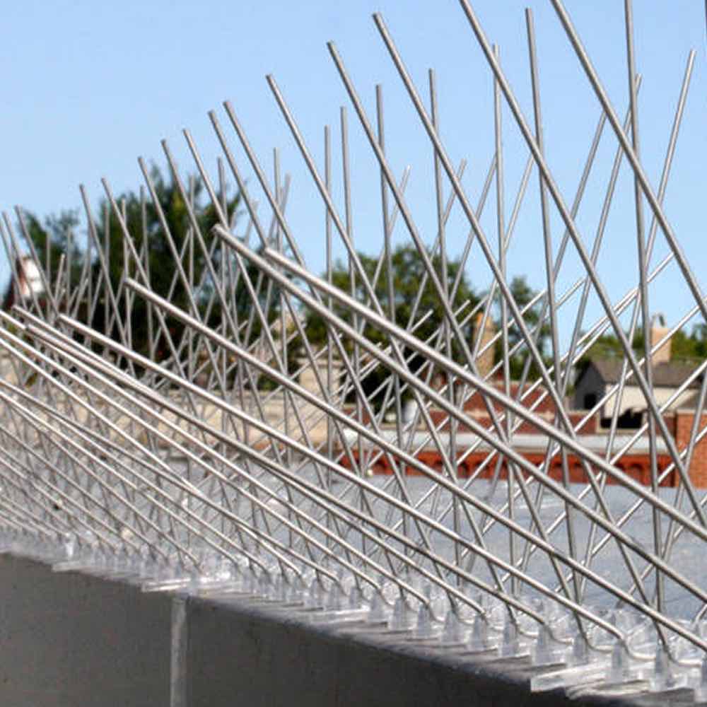 Wren Spikes: image 4