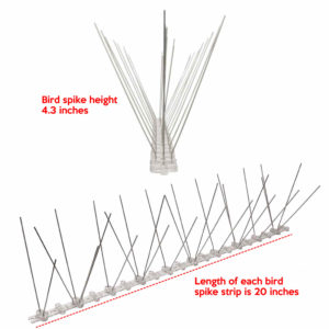where to buy bird spikes online