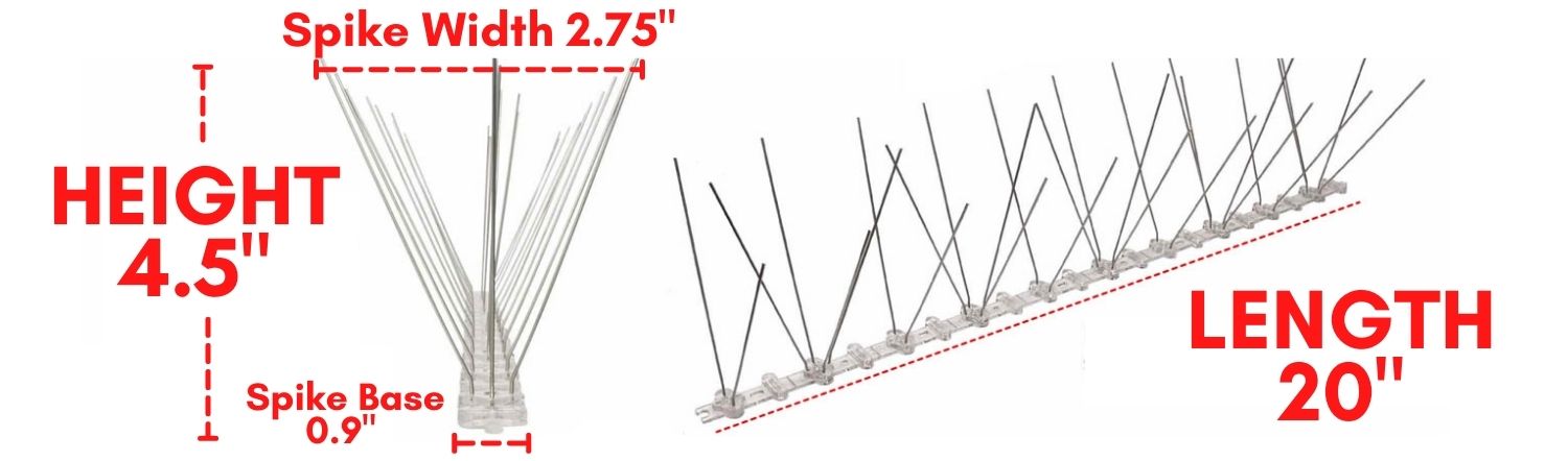 where to buy stainless anti bird spikes online