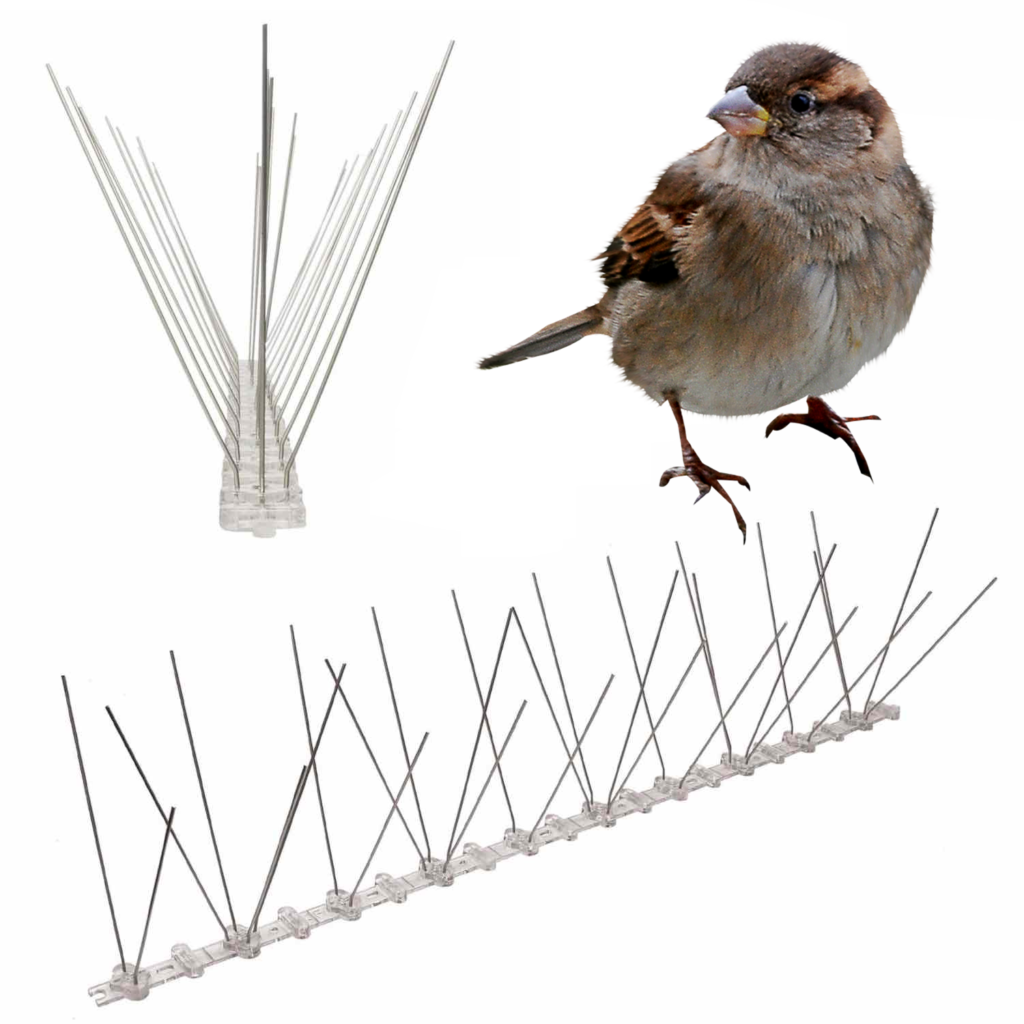 spikes to stop sparrows